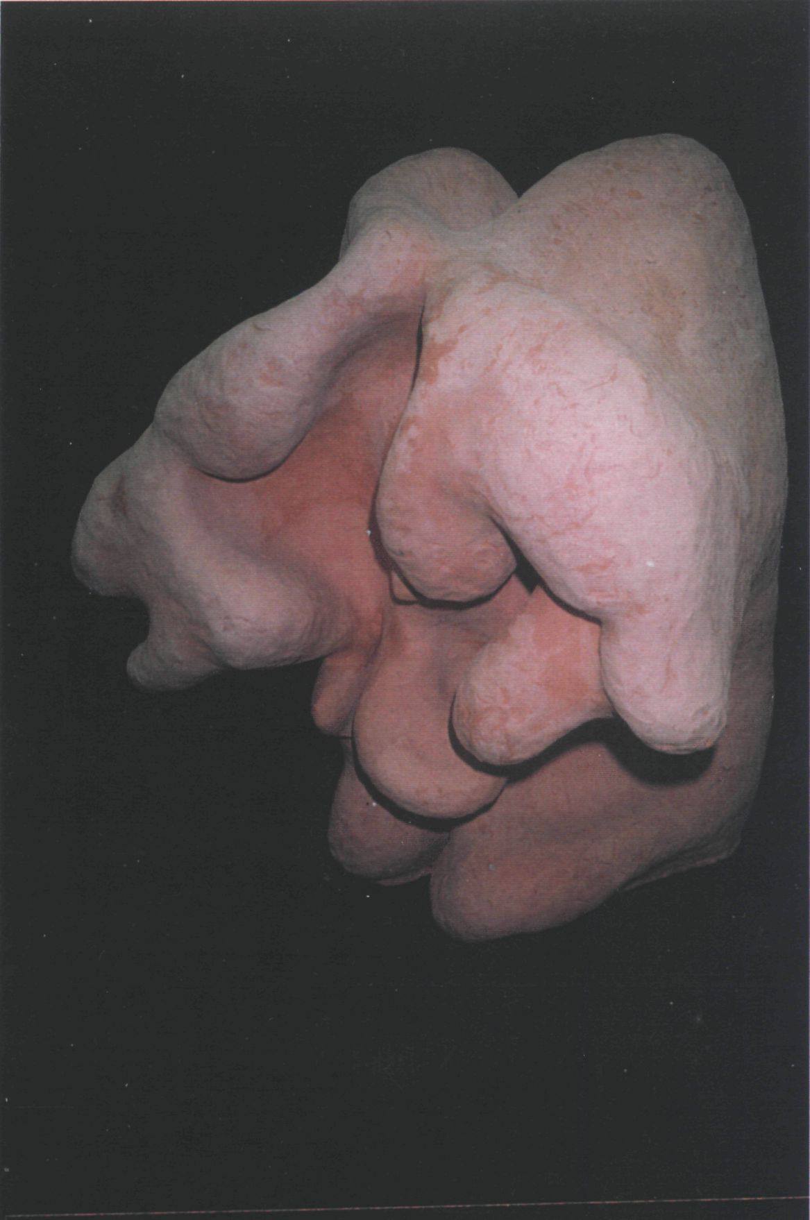 Image 52
